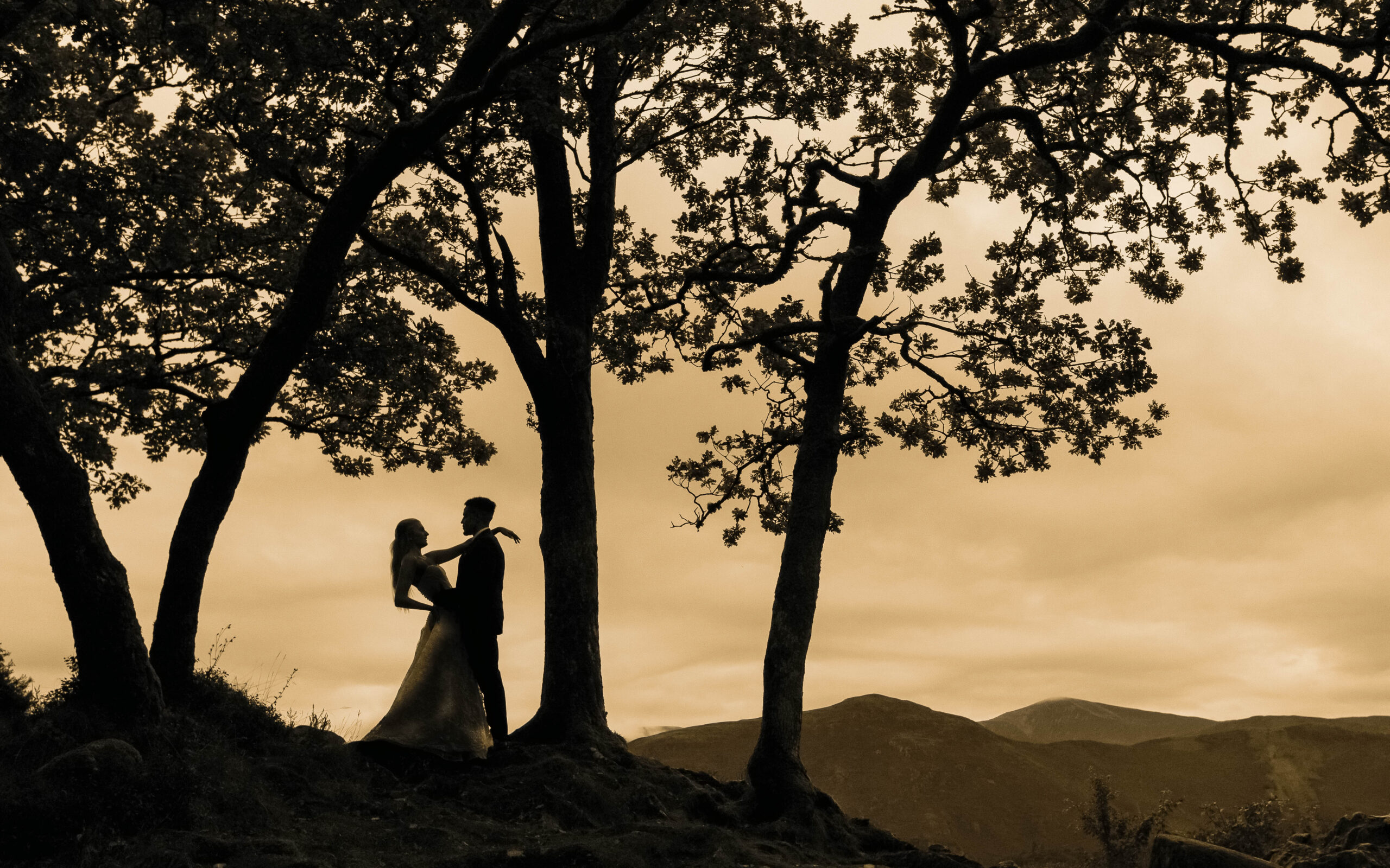 Silhouette of couple under trees at sunset